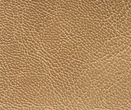 Leatherette